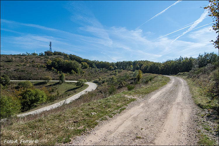 Poggio della Risala