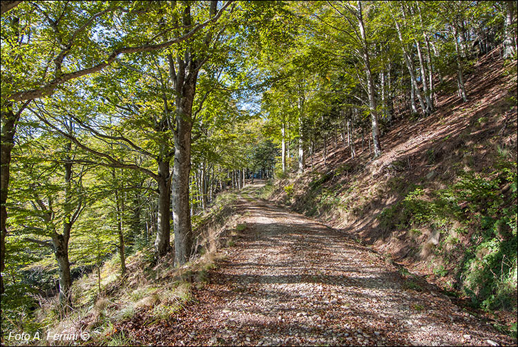 Verso La Macinaia