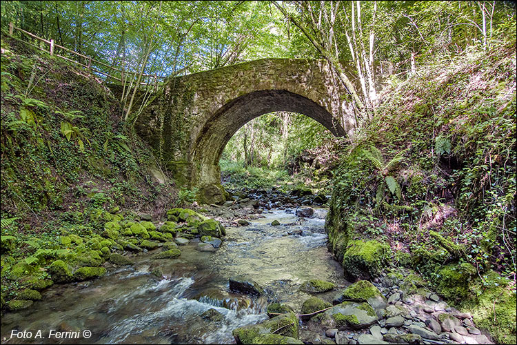 Ponte medievale di Montemignaio