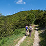 Foresta di Sant’Antonio