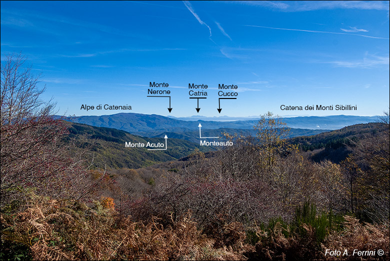 Panorama dal CAI 32