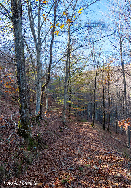 Strada del Val d'Arno