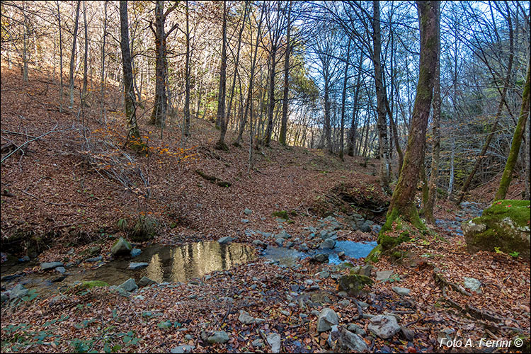 Strada del Val d'Arno