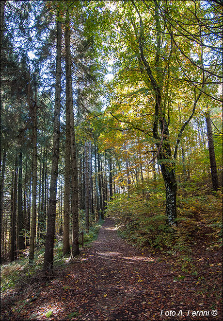 Verso il Fosso della Via Traversa