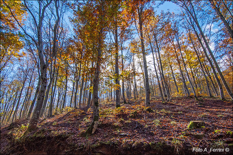 Casalone, autunno