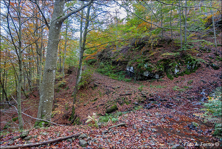 Trekking in Pratomagno