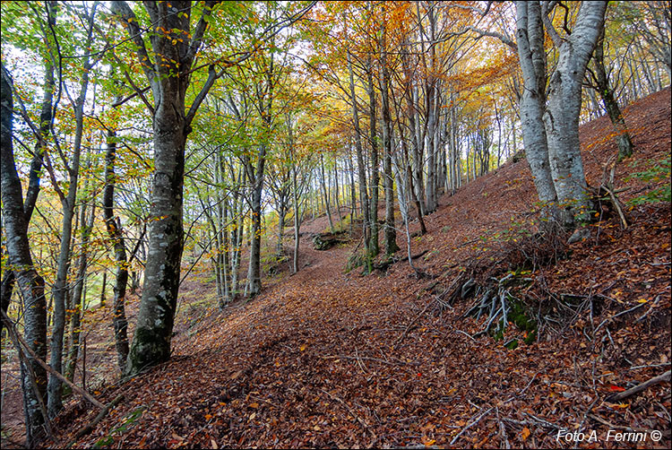 Trekking in Pratomagno