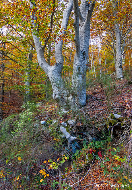 Trekking in Pratomagno