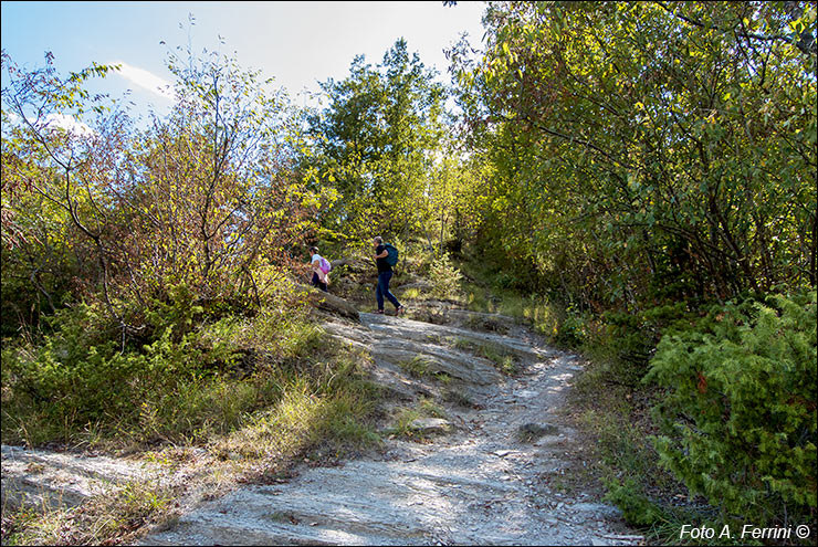 Via Romea, Passo Serra