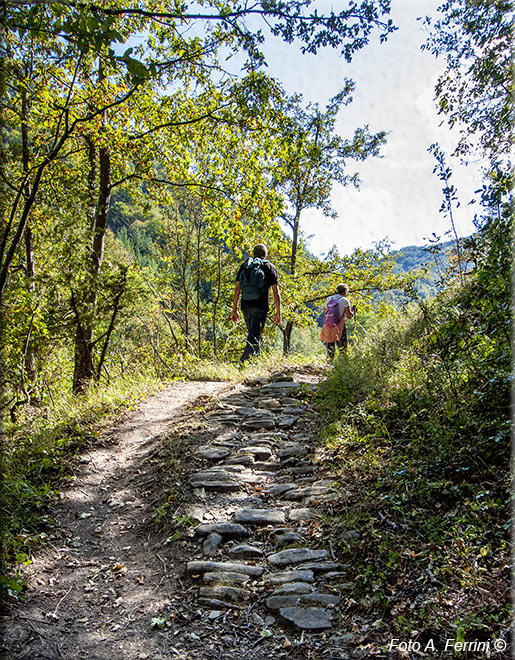 Via Romea, Passo Serra