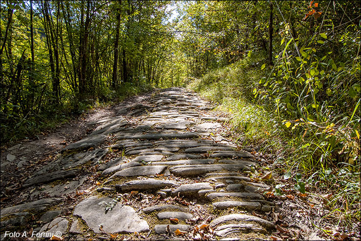 Via Romea, Passo Serra