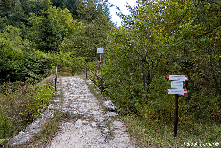 Via Romea, Passo Serra