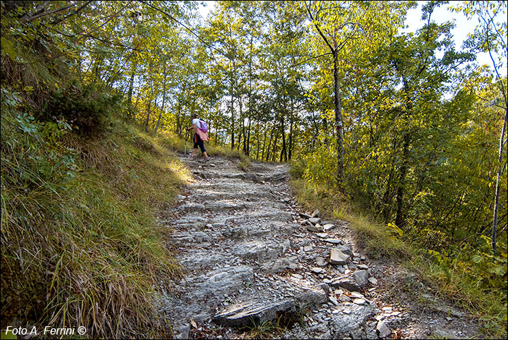 Via Romea, Passo Serra