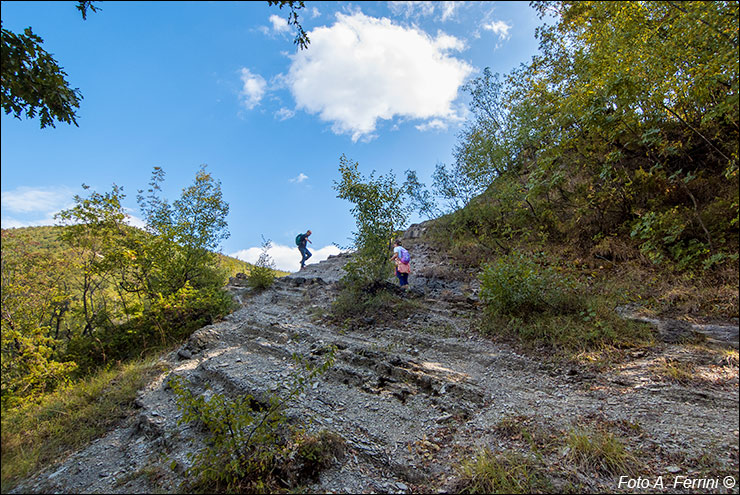 Via Romea, Passo Serra