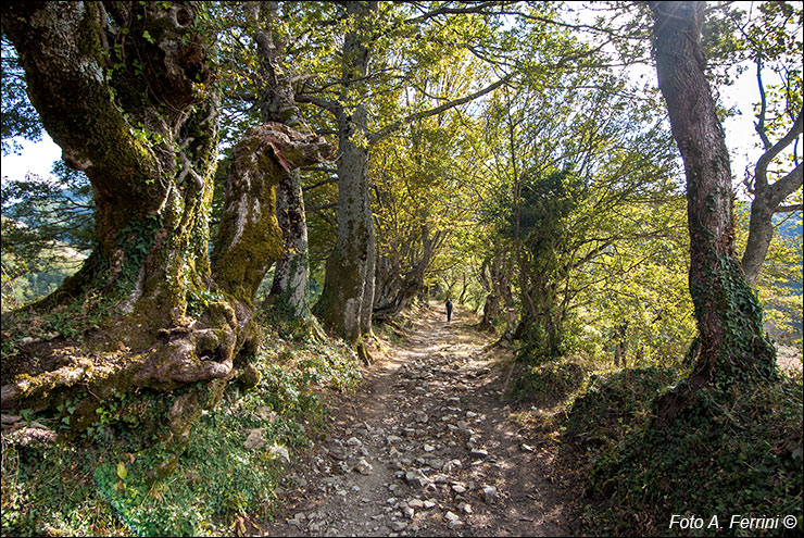 Via Romea, Passo Serra