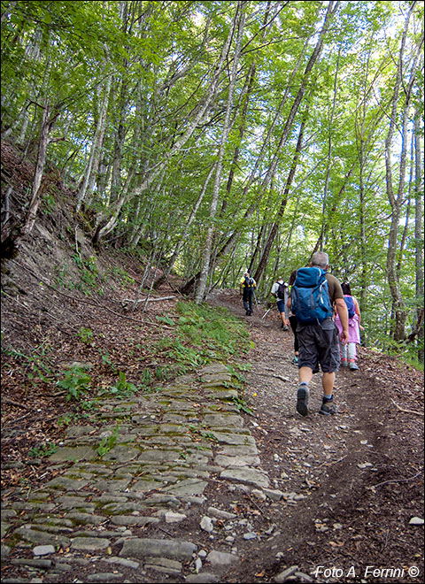 Via Romea, Passo Serra