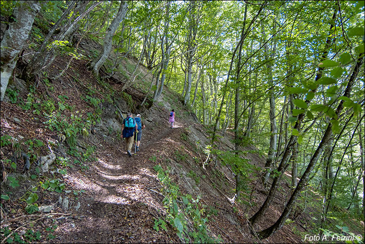 Via Romea, Passo Serra