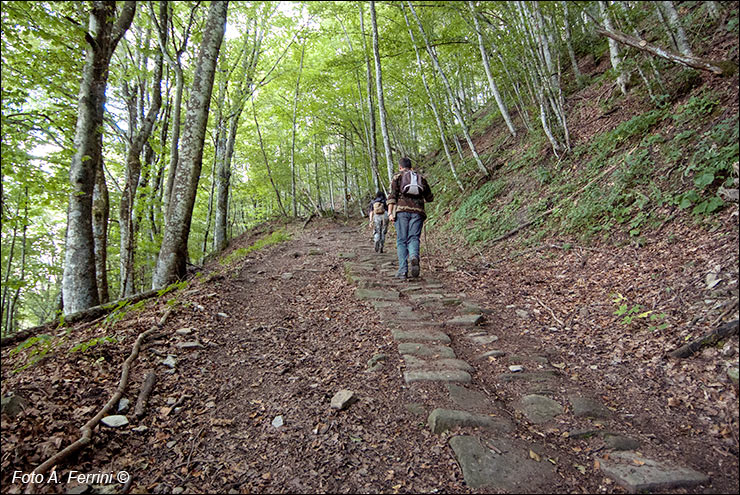 Via Romea, Passo Serra