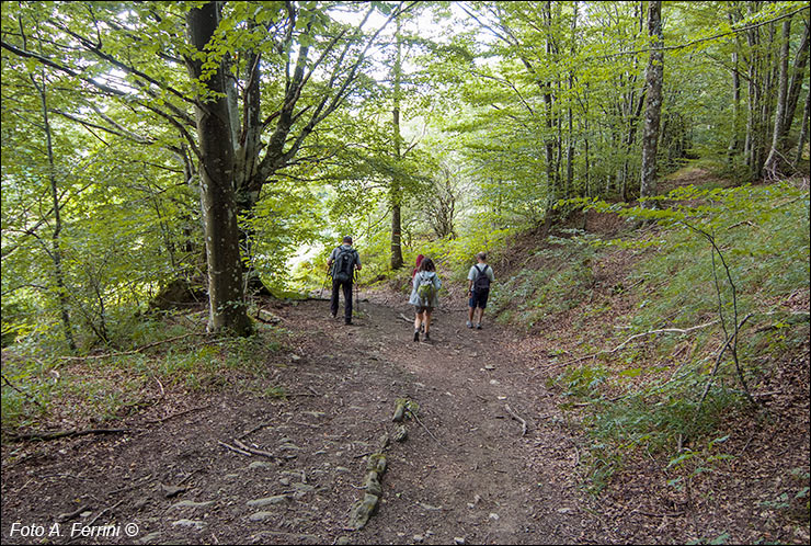 Via Romea, Passo Serra