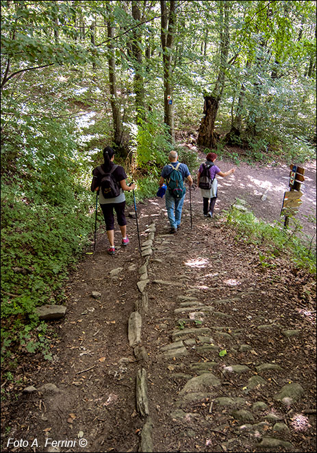 Via Romea, Passo Serra