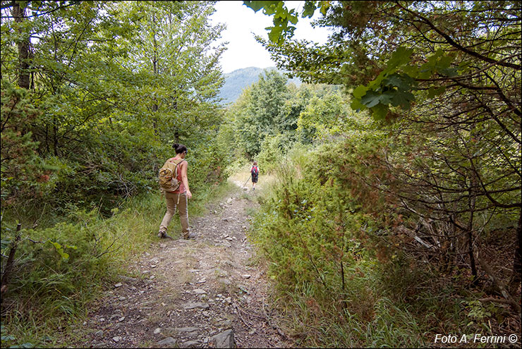 Via Romea, Passo Serra