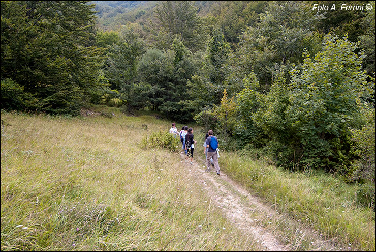 Via Romea, Passo Serra