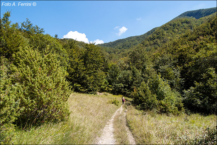 Via Romea, Passo Serra