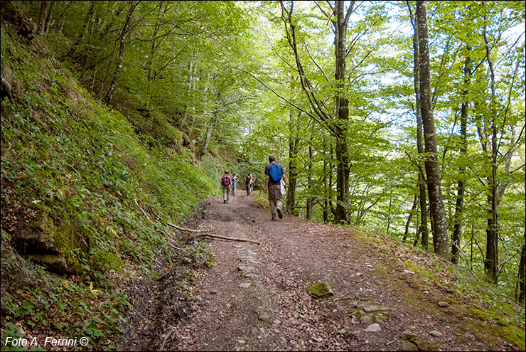 Via Romea, Passo Serra