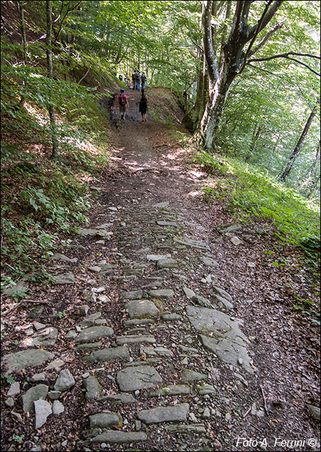 Via Romea, Passo Serra