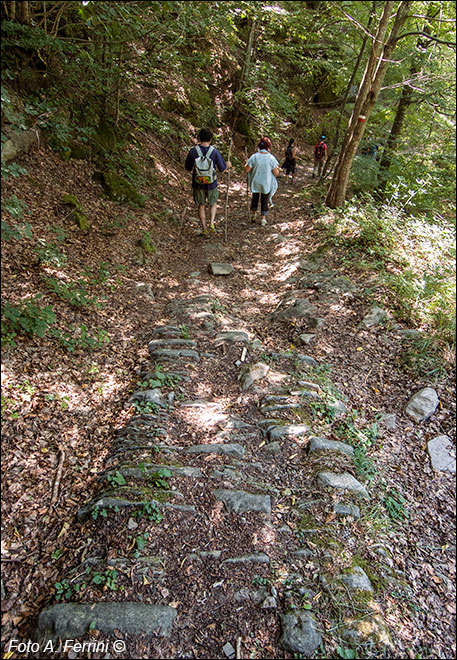 Via Romea, Passo Serra