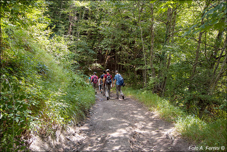 Via Romea, Passo Serra