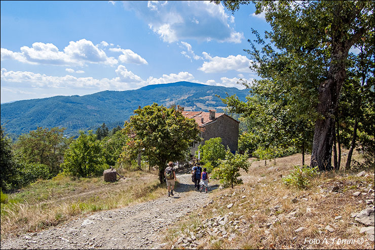 Via Romea, Passo Serra