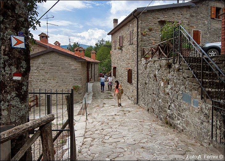 Via Romea, Passo Serra