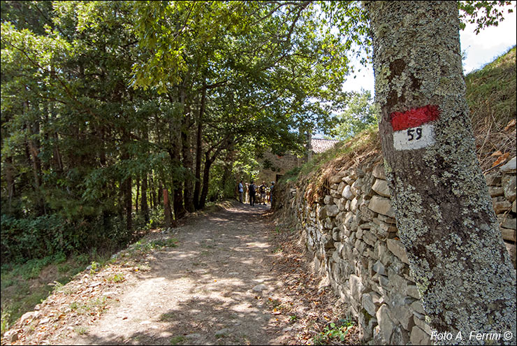 Via Romea, Passo Serra