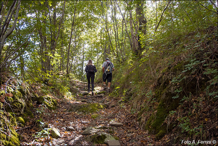 Via Romea, Passo Serra