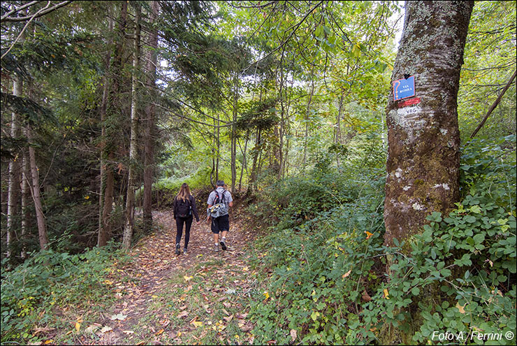 Via Romea, Passo Serra