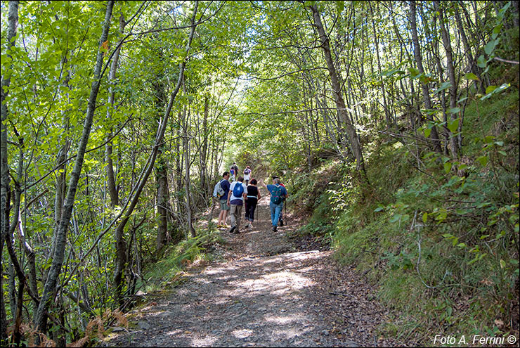 Via Romea, Passo Serra