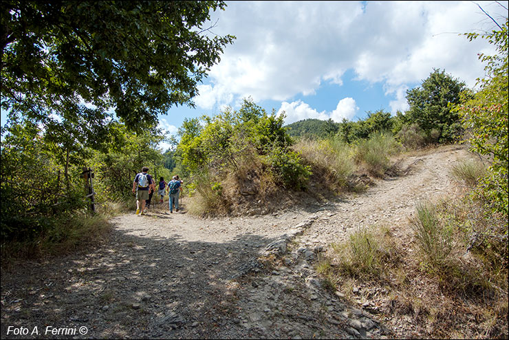 Via Romea, Passo Serra