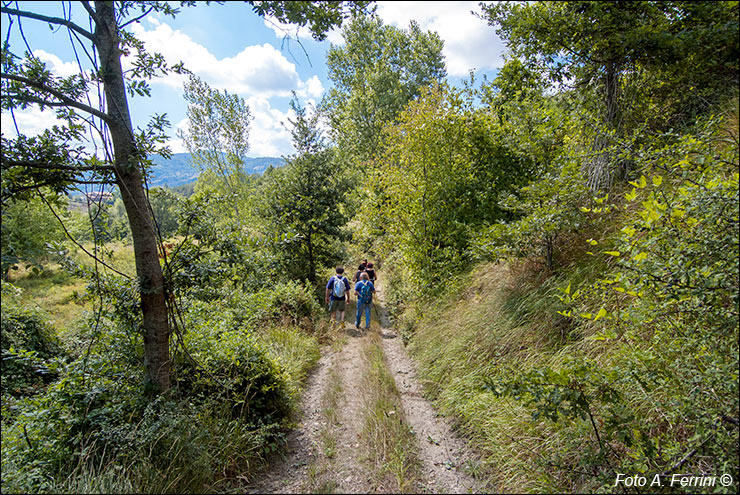 Via Romea, Passo Serra