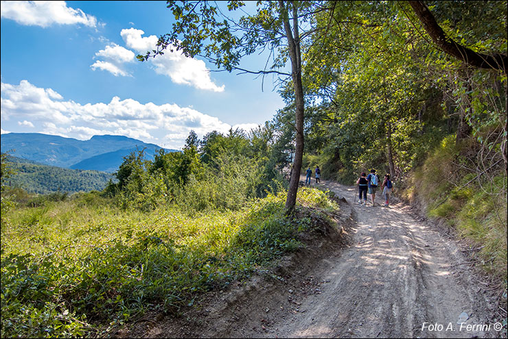 Via Romea, Passo Serra