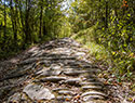 Via Romea, Passo Serra