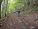 Via Romea, Passo Serra