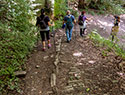 Via Romea, Passo Serra