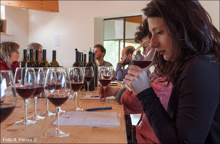 Degustazione vini Ornina