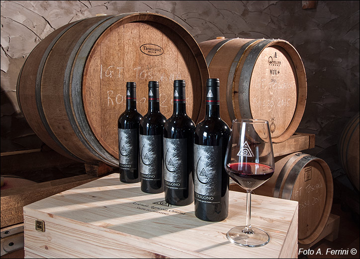 Vino Trigono, Ornina