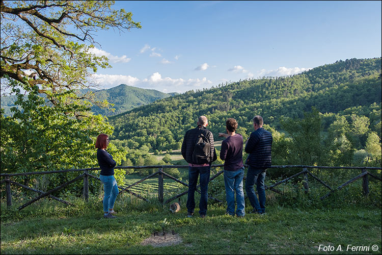 Azienda Agricola Ornina, ambiente naturale.