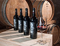 Vino Trigono, Ornina