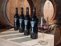 Vino Ornina, Azienda Agricola Ornina