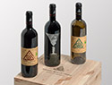 Vino Azienda Agricola Ornina